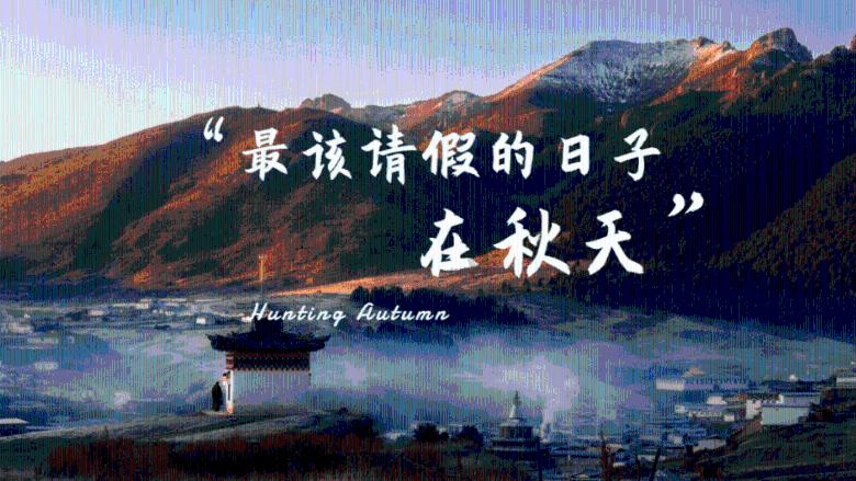 雷火官方网站入口